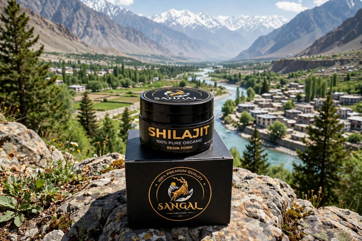 SANGAL ORGANICS Original Himalayan Shilajit Resin - 100% Pure